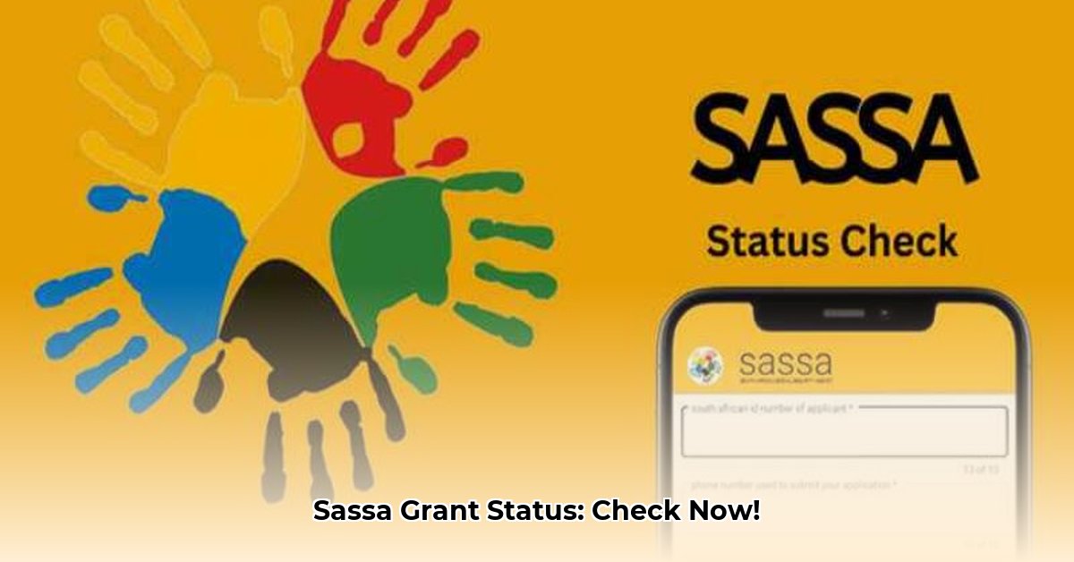 sassa-relief-grant-status-check-online